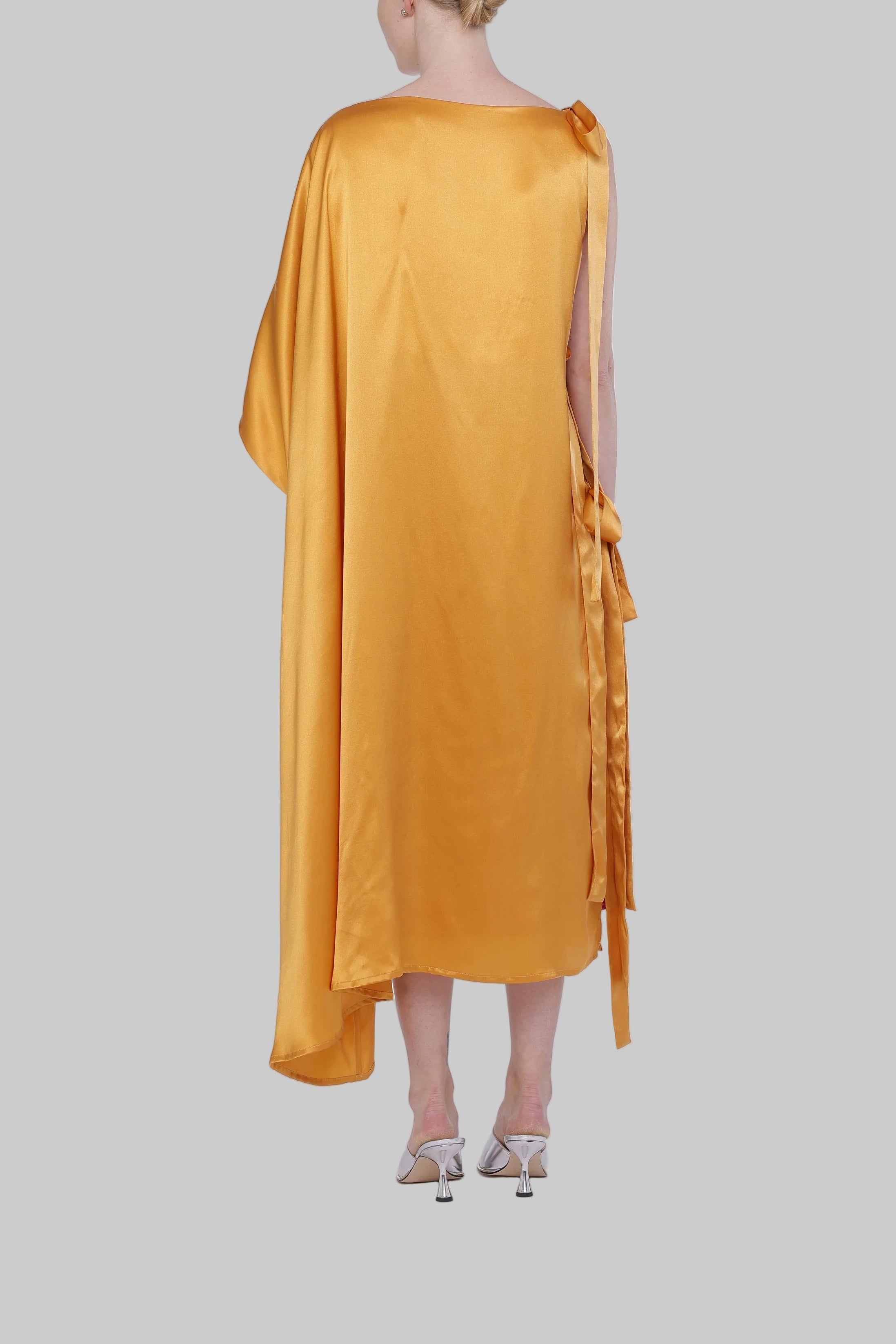 Silk Ribbon Dress