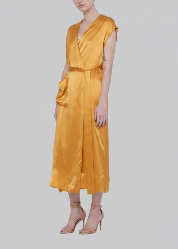 Silk Gown Dress