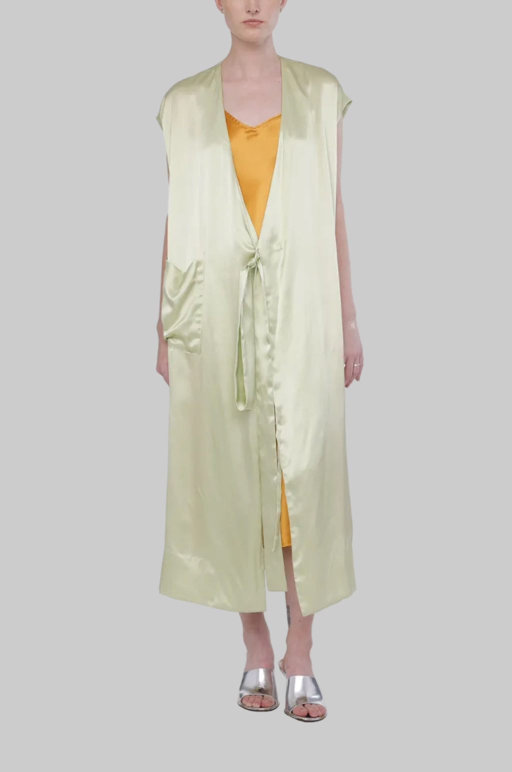 Silk Gown Dress