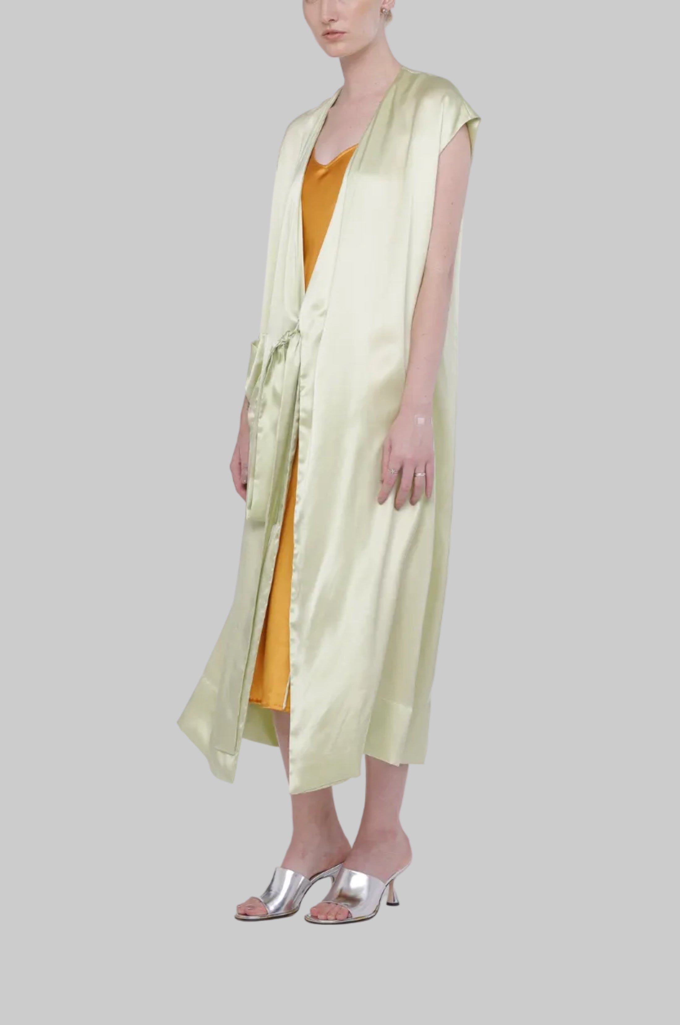 Silk Gown Dress